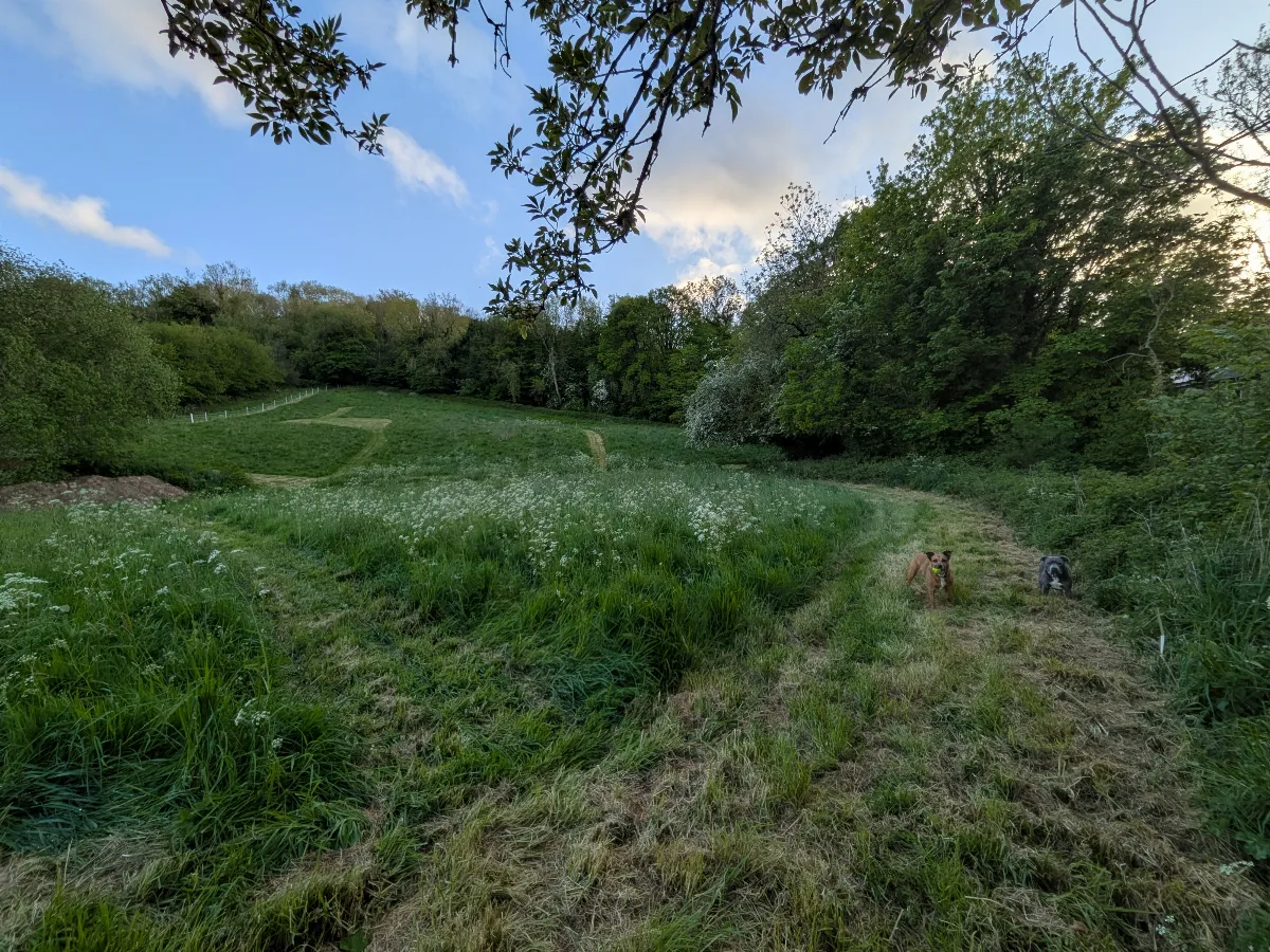 PXL_20260513_185056695